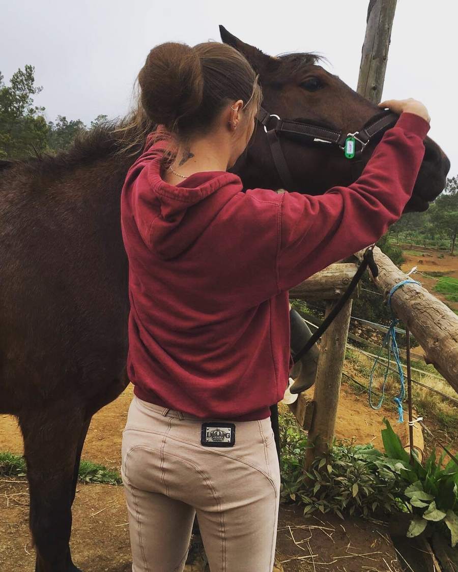 La praticienne, de dos, la main posée sur le licol d’un cheval à la robe brun foncé, devant la clôture en bois d’un paddock.